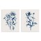 Stupell Industries Blue Sketched Flowers 2pc Wall Plaque Art Set Design by Carol Robinson